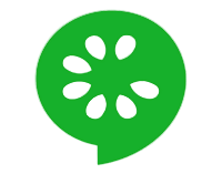 Курс включает в себя: Cucumber – мощный и гибкий фреймворк
